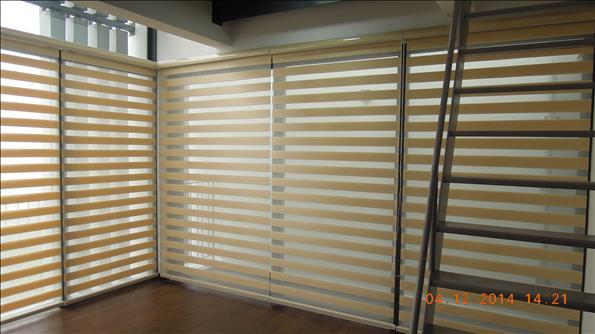 Zebra Blind040
