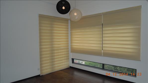 Zebra Blind044