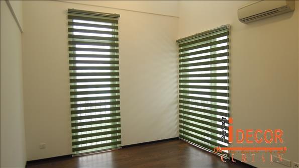 Zebra Blind046