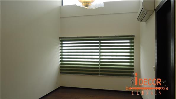 Zebra Blind047