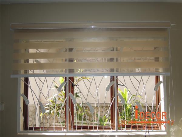 Zebra Blind071