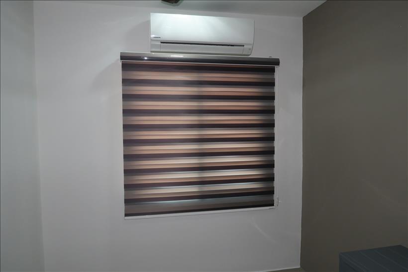 Zebra Blind100