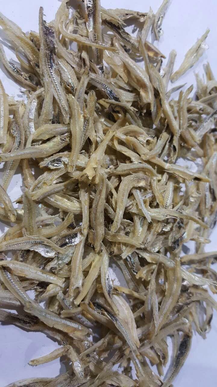 Anchovy