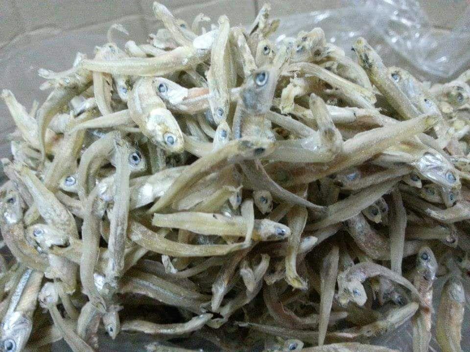 Anchovy