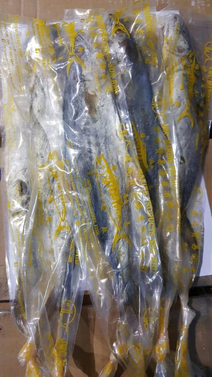Dried Fish