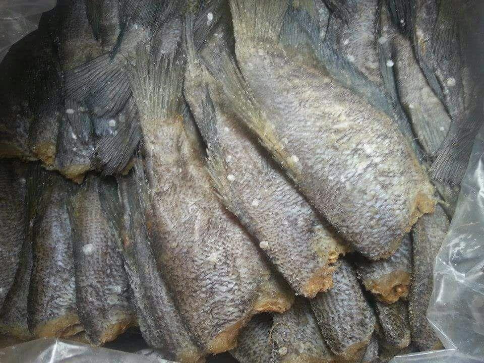 Dried Fish