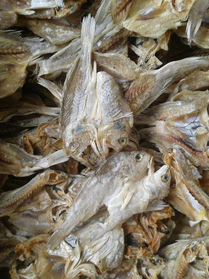 Dried Fish