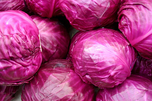 red cabbage