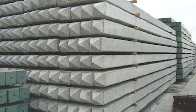 Reinforced Concrete Pile