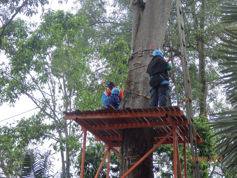 Ready For Flying Fox!!! Yeeaaahhhh!!!