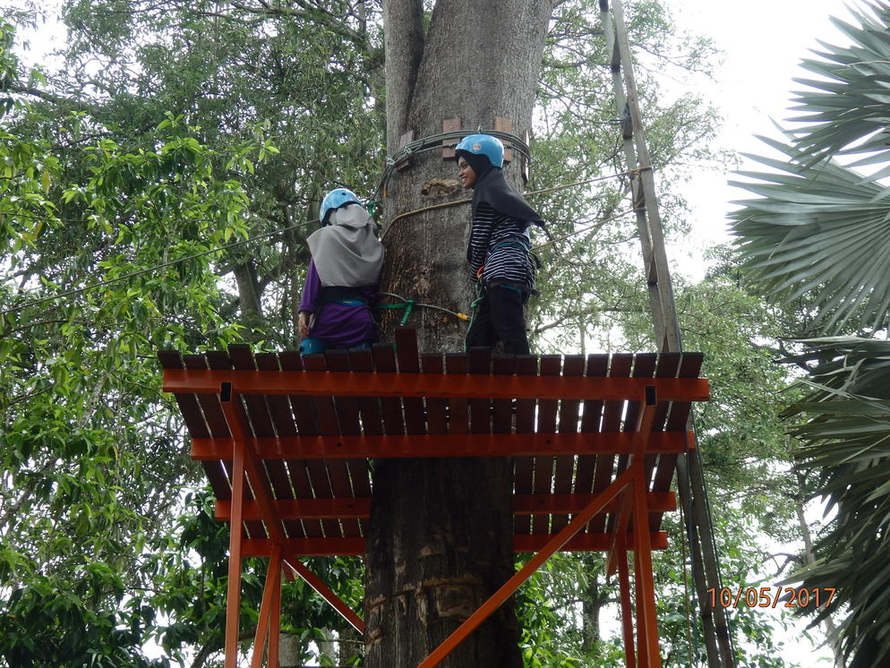Flying Fox Platform