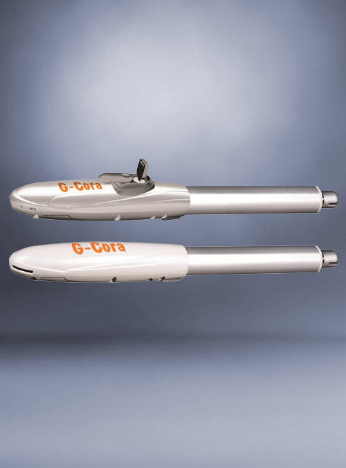 Gcora Swing type autogate