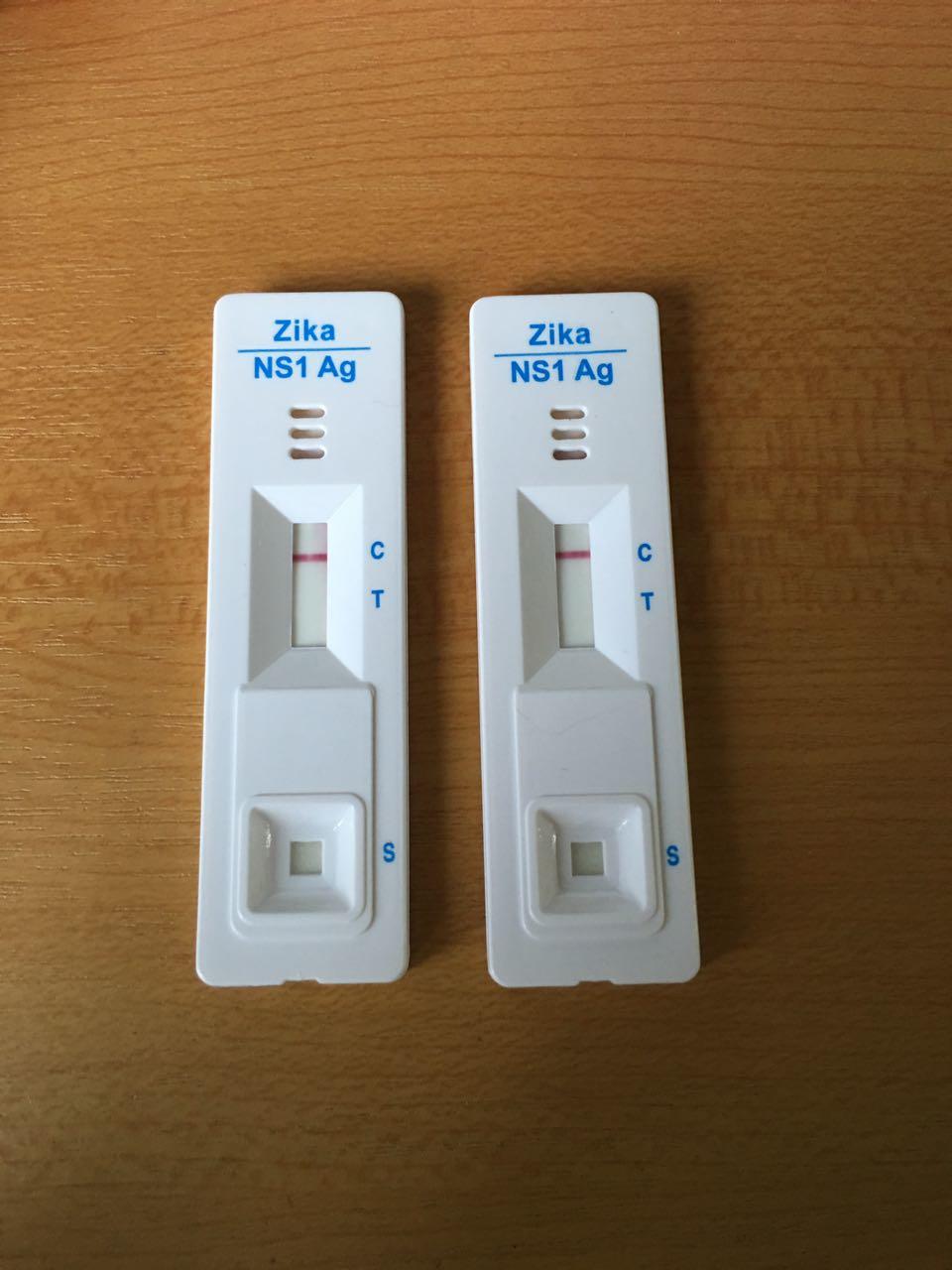 Zika NS1 Ag in KL, Malaysia