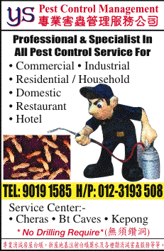 Print Advert