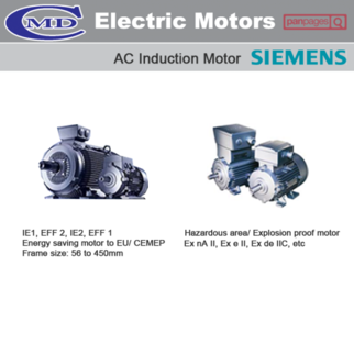 Electric Motors