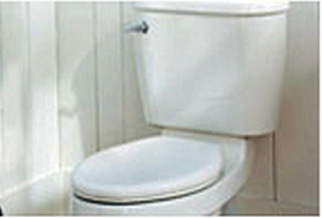 Toilet Stuck
