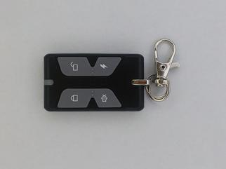 Auto gate remote