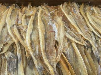 Dried Fish