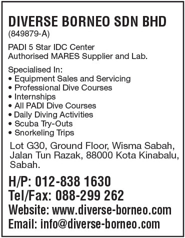 Print Advert