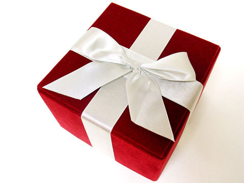 Honey Bee gift house