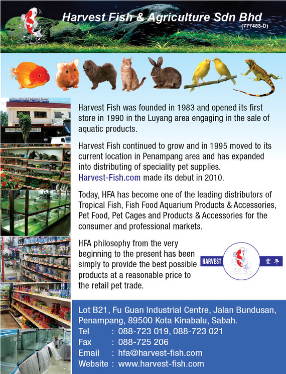 Harvest fish sale and pet