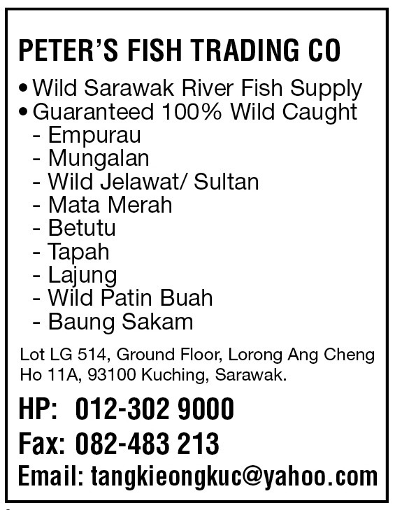 Print Advert