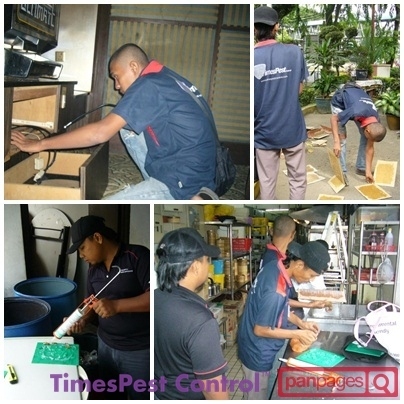 Detailed Project