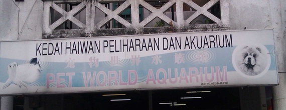 Pet World Aquarium