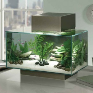 Aquarium