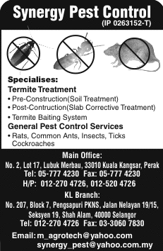 Print Advert