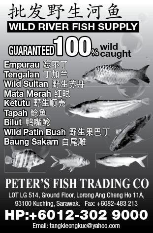 Print Advert