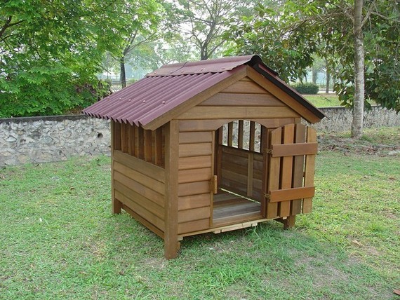 Dog house medium