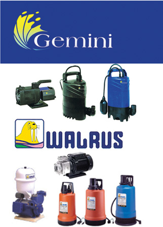 Gemini