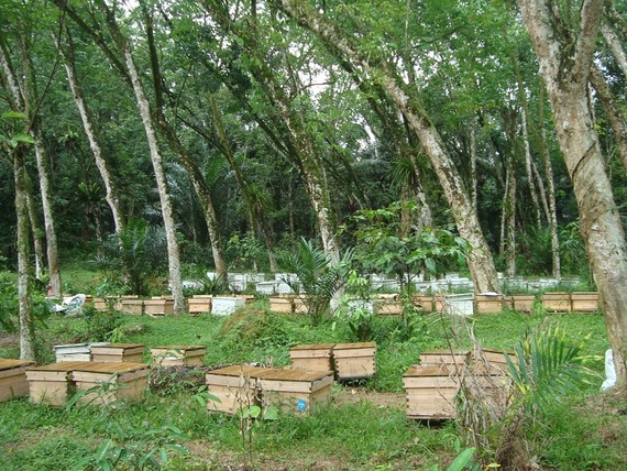 site