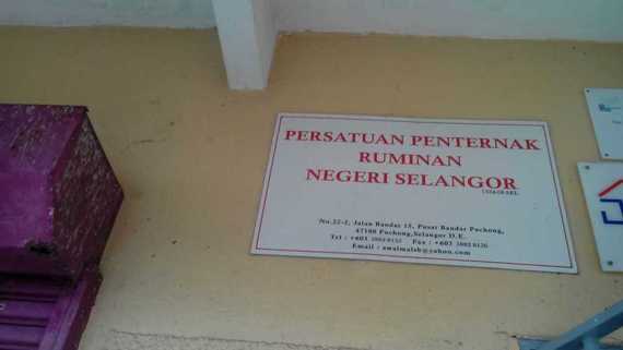 Persatuan Penternak Ruminan