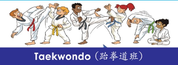 Taekwando Class