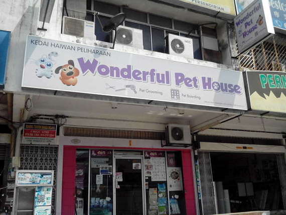 Wonderful Pet House