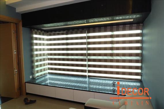 Zebra Blind102