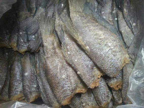 Dried Fish