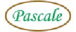 Pascale Resources Sdn. Bhd. - Video Equipment - Large Screen Projector - Selangor