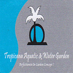 Tropicana Aquatic & Water Garden - Pond - Perak