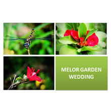 Dewan Melor Garden Wedding ( Melor Ria Enterprise )  - Caterers - Selangor