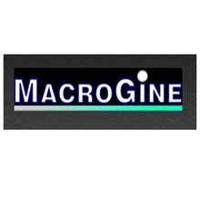 Macrogine Sdn. Bhd. - Computer Programming Consultants - Penang