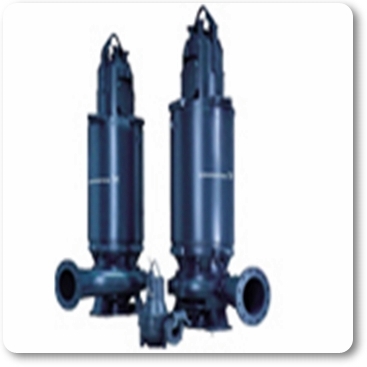 S Pumps