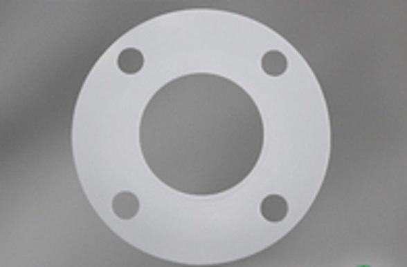 PTFE FF Gasket