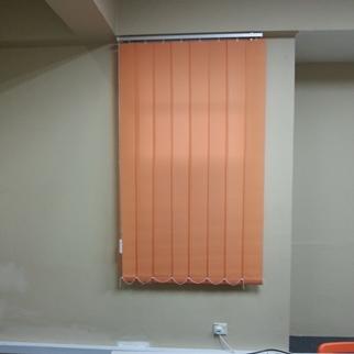 Vertical Blind