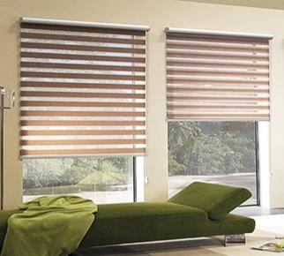 Zebra Blind