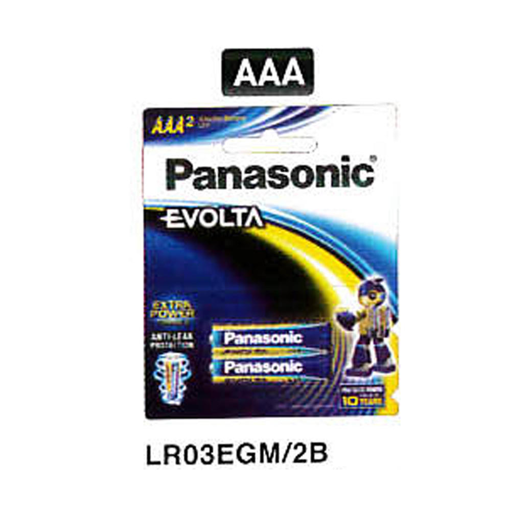 Panasonic LR03EGM/2B AAA Battery