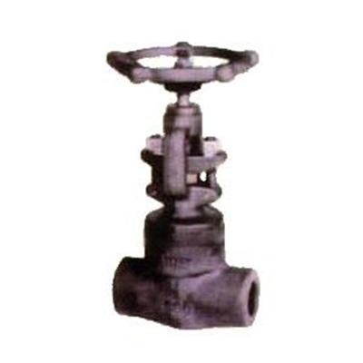 Gate / Globe Valves Forged Carbon Steel & Stainless Steel 2