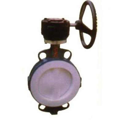 Butterfly Valve 2